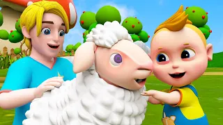 Old MacDonald Had A Black Sheep Song | Yes Yes Playground Farm Song | Nursery Rhymes & Kids Songs