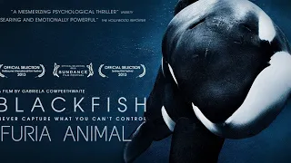 Blackfish Fúria animal - Documentário Dublado (2014)