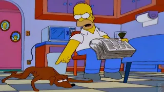 Gentil le chien ! Méchant le chien !