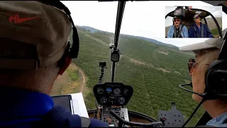 Helicopter Cherry Drying Orientation Flight (HD)