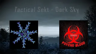 SYBERIA & PSYCHO BLOOD INDUSTRIAL DANCE [Tactical Sekt - Dark Sky]
