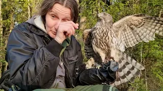 The hawk will bite into the face and tear out the eyes! (no). Why don't they bite me? (Biting)
