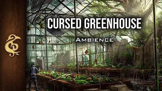 Cursed Greenhouse | Plants, Growing, Nature, Druids Ambience | 1 Hour #dnd