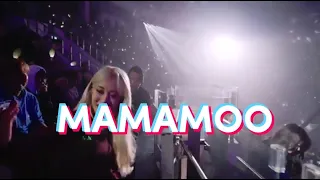 MAMAMOO: Undeniably the ACE OF KPOP