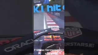 F1@Max Verstappen hit a bird #shorts #f1 #maxverstappen