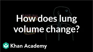 How does lung volume change? | Respiratory system physiology | NCLEX-RN | Khan Academy