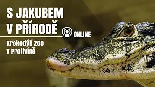 S Jakubem v přířodě online - Krokodýlí ZOO v Protivíně