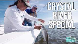 Reel Animals S12:E1 "Crystal River Special"