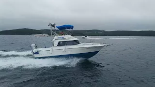 Bayliner 2556