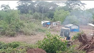 Bulldozer Operator Contenue Clearing Pushing Bowndery Exeast Land Deep..