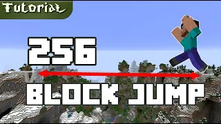 The 256 Block Jump in Minecraft [Vanilla Survival] [World record]