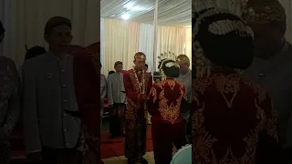 Panggih ll upacara pernikahan adat  Jogja