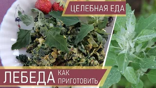 Как готовить лебеду Лебеда целебные свойства Марь белая