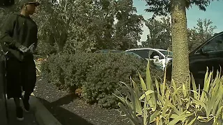 1/2 - Tesla Sentry Video - Thief breaks into 2 cars, then my Tesla Model S