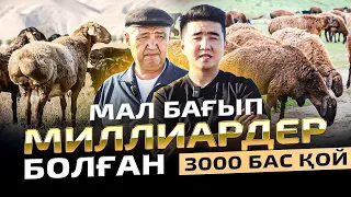 Назарбаев қолдаған шаруашылық. 7000 гектар жерде 3000 бас қой. Мал шаруашылығы