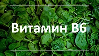 Витамин В6 - польза для здоровья, признаки дефицита, дневная норма. Продукты, богатые витамином В6