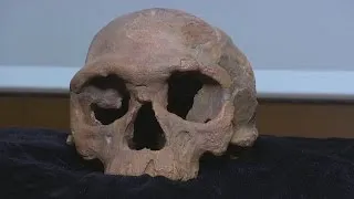 300,000 year old humans found