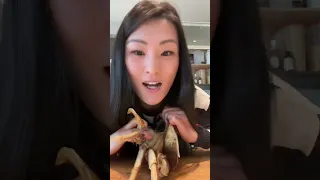 Preparing a Live Crab