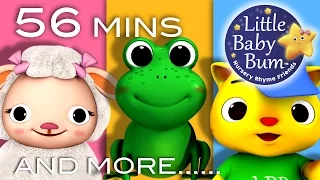 Animal | Plus Lots More Nursery Rhymes |56 Mins Compilation from LittleBabyBum!