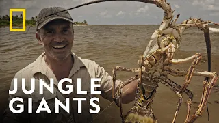 The Daunting Challenge | Last of the Giants: Wild Fish | National Geographic UK