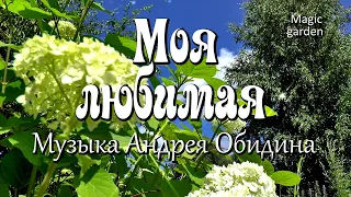 Моя любимая - музыка Андрея Обидина.  Музыка для души