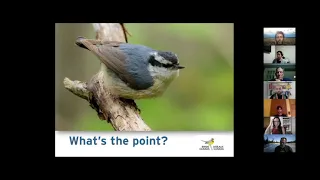Christmas Bird Count Presentation