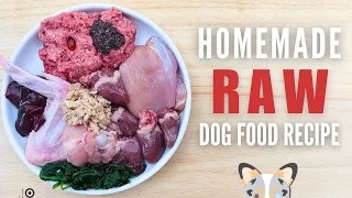 Simple Raw Food Recipe For Dogs (Beginner Friendly)