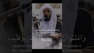 Мухаммад Обада Красивое чтение Корана с Mohamed Obada