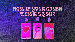 👀 How Is Your Crush Viewing You? 🥺🥰❤️ Pick A Card Timeless Tarot Reading