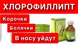 КОРОЧКИ БОЛЯЧКИ В НОСУ ВЫЛЕЧИТ ХЛОРОФИЛЛИПТ.ВРАЧИ  НЕ ГОВОРЯТ О ТАКОМ ДЕШЁВОМ СРЕДСТВЕ