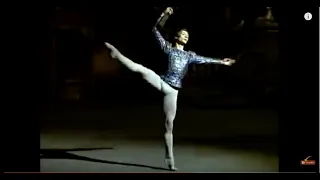 2/2  Rudolf Nureyev "Swan Lake"  pirouettes with crossbow