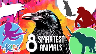 8 Smartest Animals in the World. Learn Animals for Kids - Kids Academy