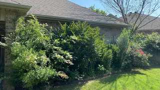 ELDERLY lady with COVID gets FREE flowerbed transformation and UGLY YARD MAKEOVER