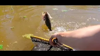 Kayak Fishing Lake Conroe