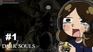 Jugando Dark Souls por primera vez en la vida (Pasé el tutorial wuu!) parte 1