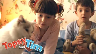 Lost cat & Indoor tent | Topsy and Tim | Cartoons for Kids | WildBrain Kids