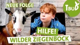 Wer zuletzt lacht  (Folge 122) | Tiere bis unters Dach | SWR Plus