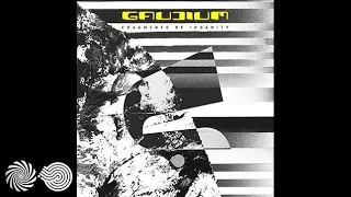 Gaudium - Fragments of Insanity