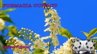 Formatia Curnut (Группа Курнуц) - Русские народные песни