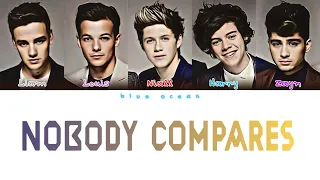 One Direction - Nobody Compares (Color Coded - Lyric)