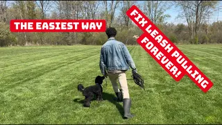 Expert Tip: The Fastest Way to Stop Leash Pulling