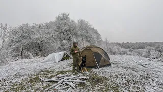 Зимний штормовой поход с моей собакой — дождь и снег за один день