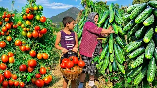 Harvesting Organic Vegetables and Cooking Traditional Azerbaijani Dish of Dolma!