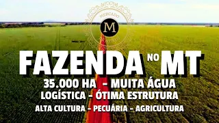 ÓTIMA FAZENDA PRODUTIVA NO MT COM 35.000 HA REGIÃO DE SAFRA E SAFRINHA ESTRUTURA TOP-MercadodeAtivos