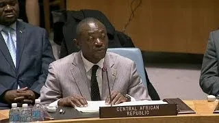 Centrafrique : feu vert de l'ONU à une intervention militaire française