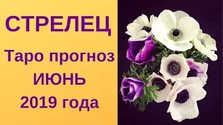 Стрелец - Таро прогноз на июнь 2019 года