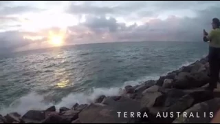 Drone Footage Shows Shark on West Australian Coast