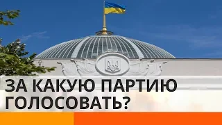 За какую партию проголосовать на парламентских выборах?