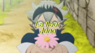 Juno - la fleur (Slowed + Reverb)