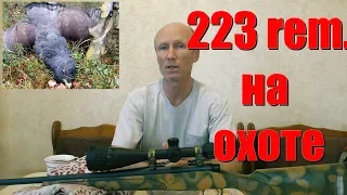 223 rem.О калибре...